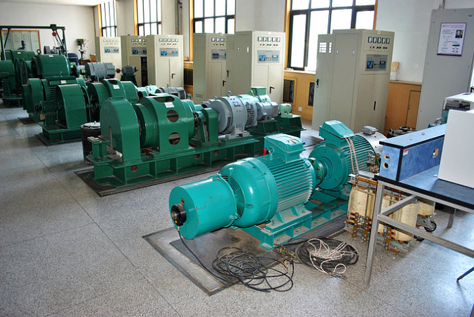 Y4503-4某热电厂使用我厂的YKK高压电机提供动力