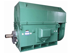 Y4503-4Y系列6KV高压电机