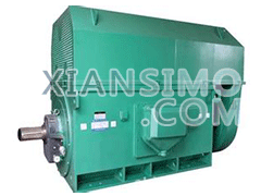 Y4503-4YXKK(2极)高效高压电机技术参数